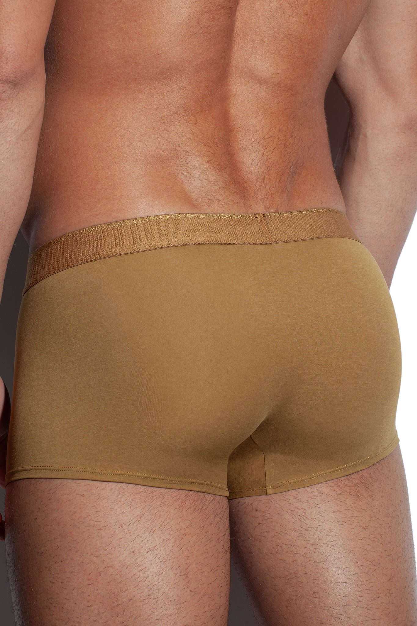 GREEK LAUREL TRUNK - BROWN