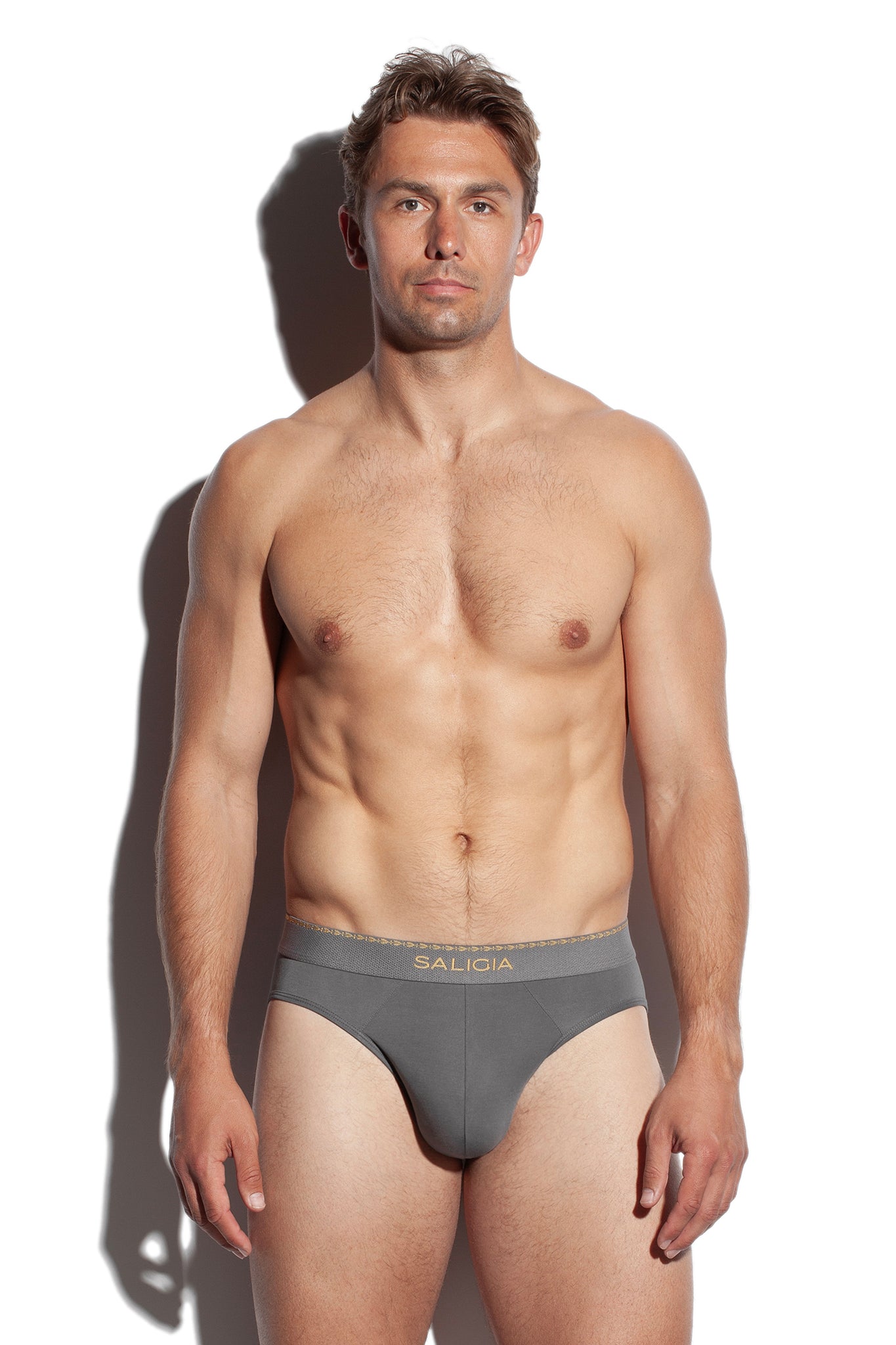GREEK LAUREL BRIEF - GREY