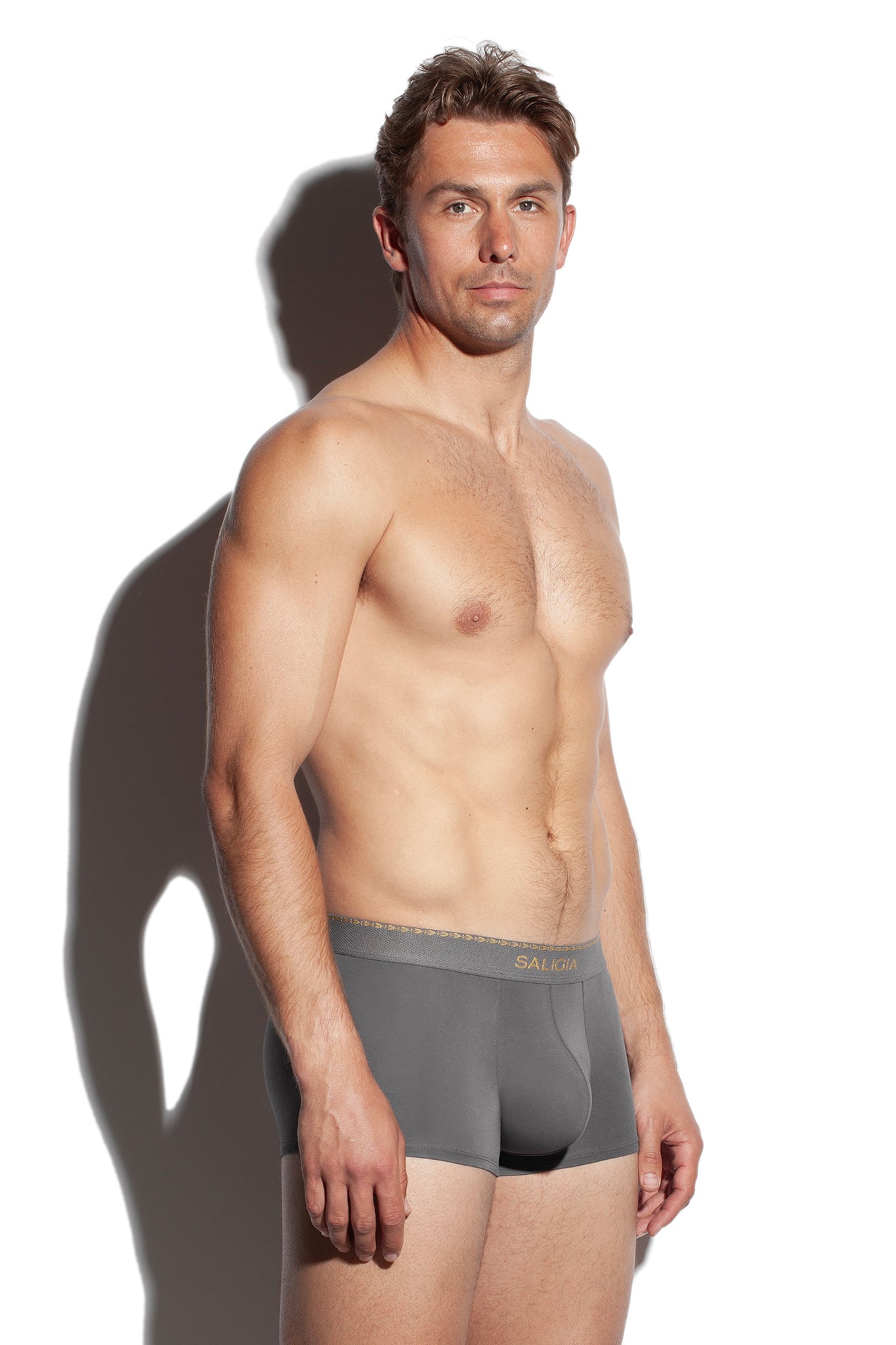 GREEK LAUREL TRUNK - GREY