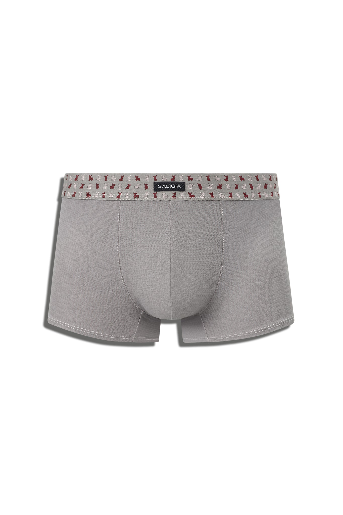 CRYPTIC ESQUIRE TRUNK - GREY