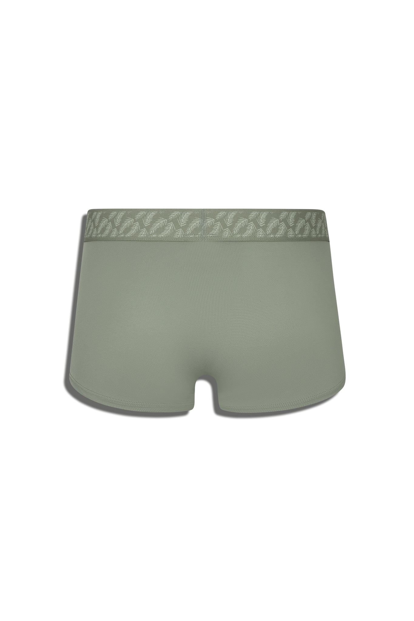 SOLSTICE RIDGE TRUNK - GREEN