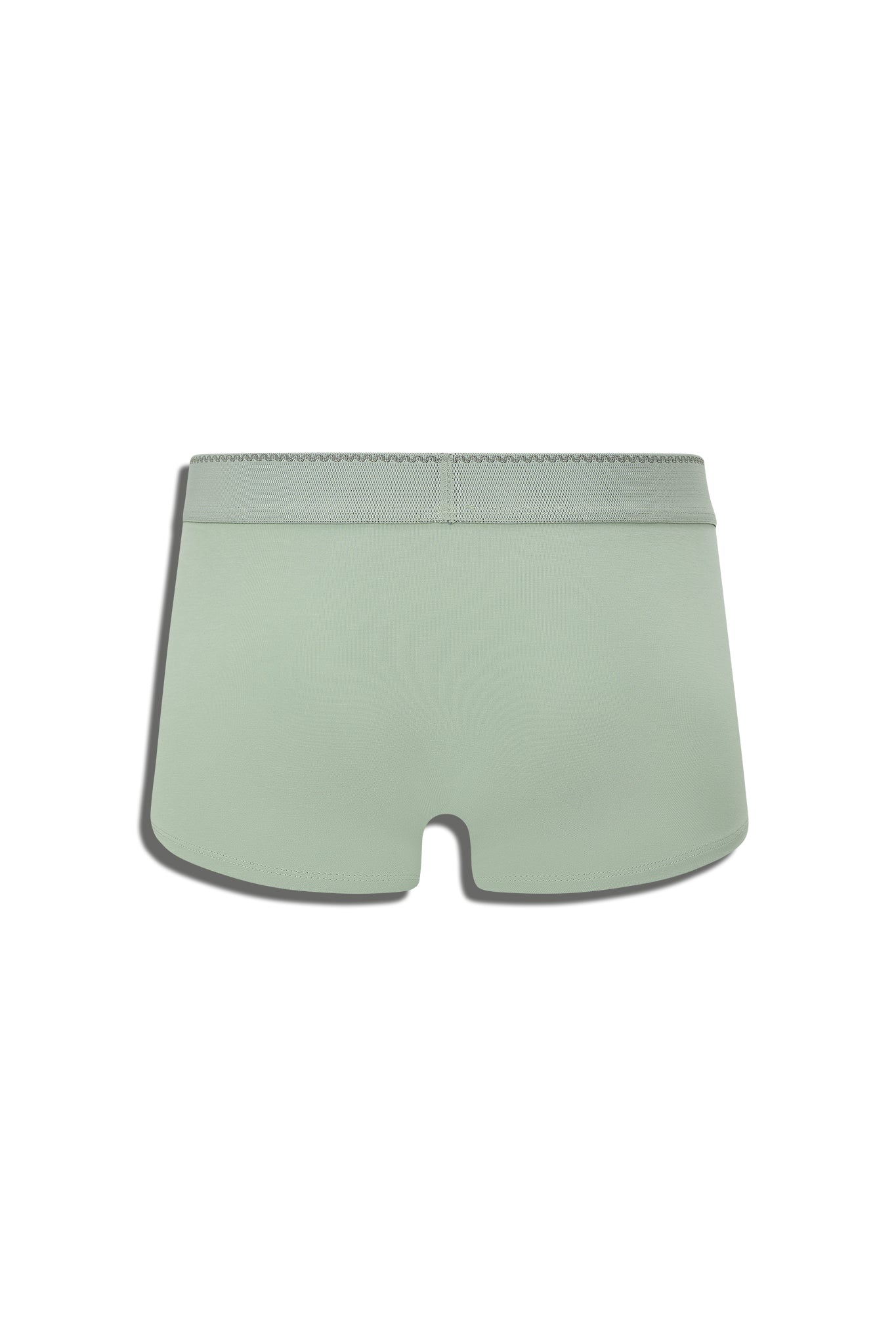 GREEK IRIS TRUNK - GREEN