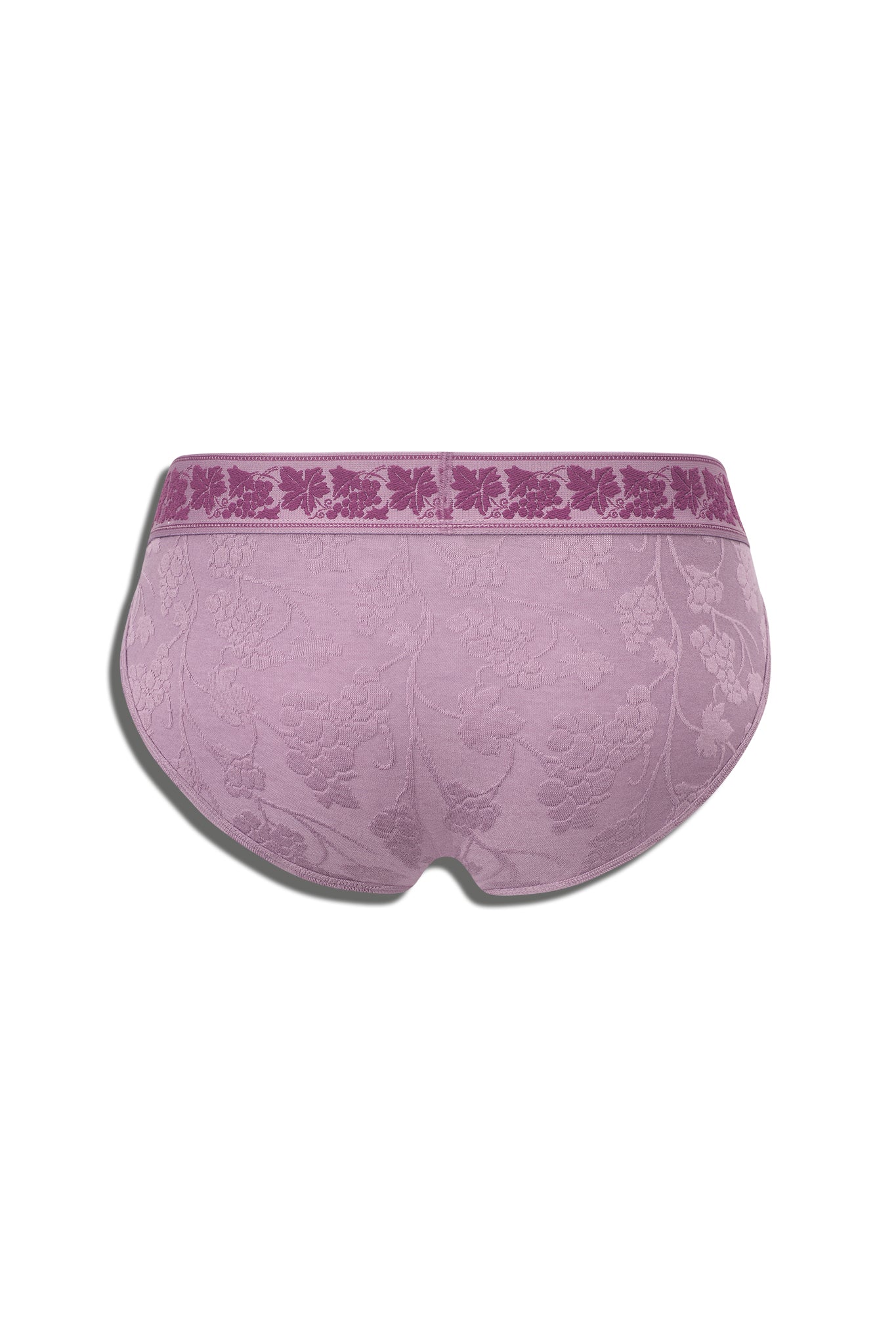DIONYSUS BRIEF - PURPLE