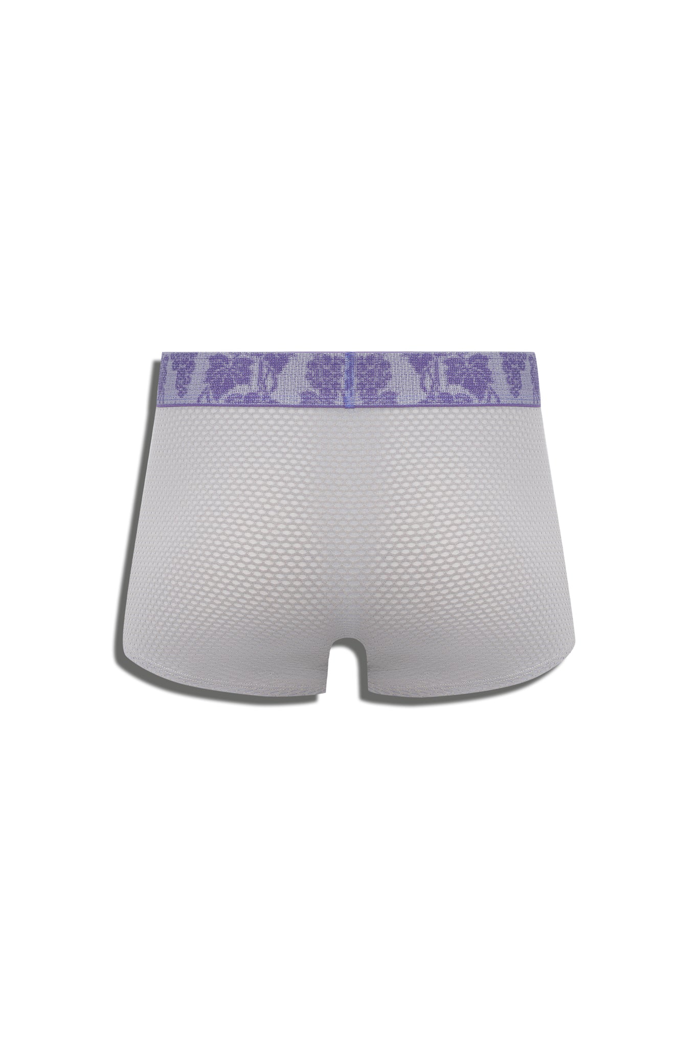 DIONYSUS-2 TRUNK - GREY