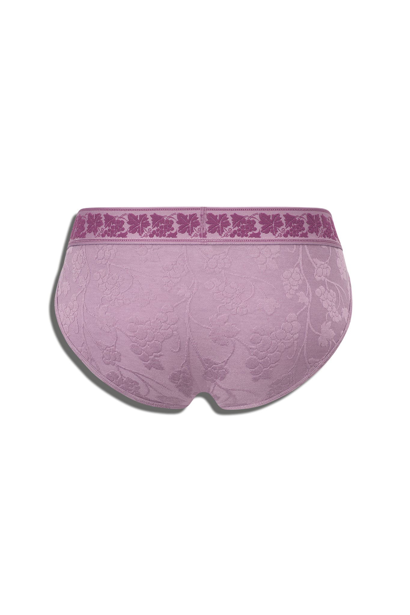 DIONYSUS SPORT BRIEF - PURPLE