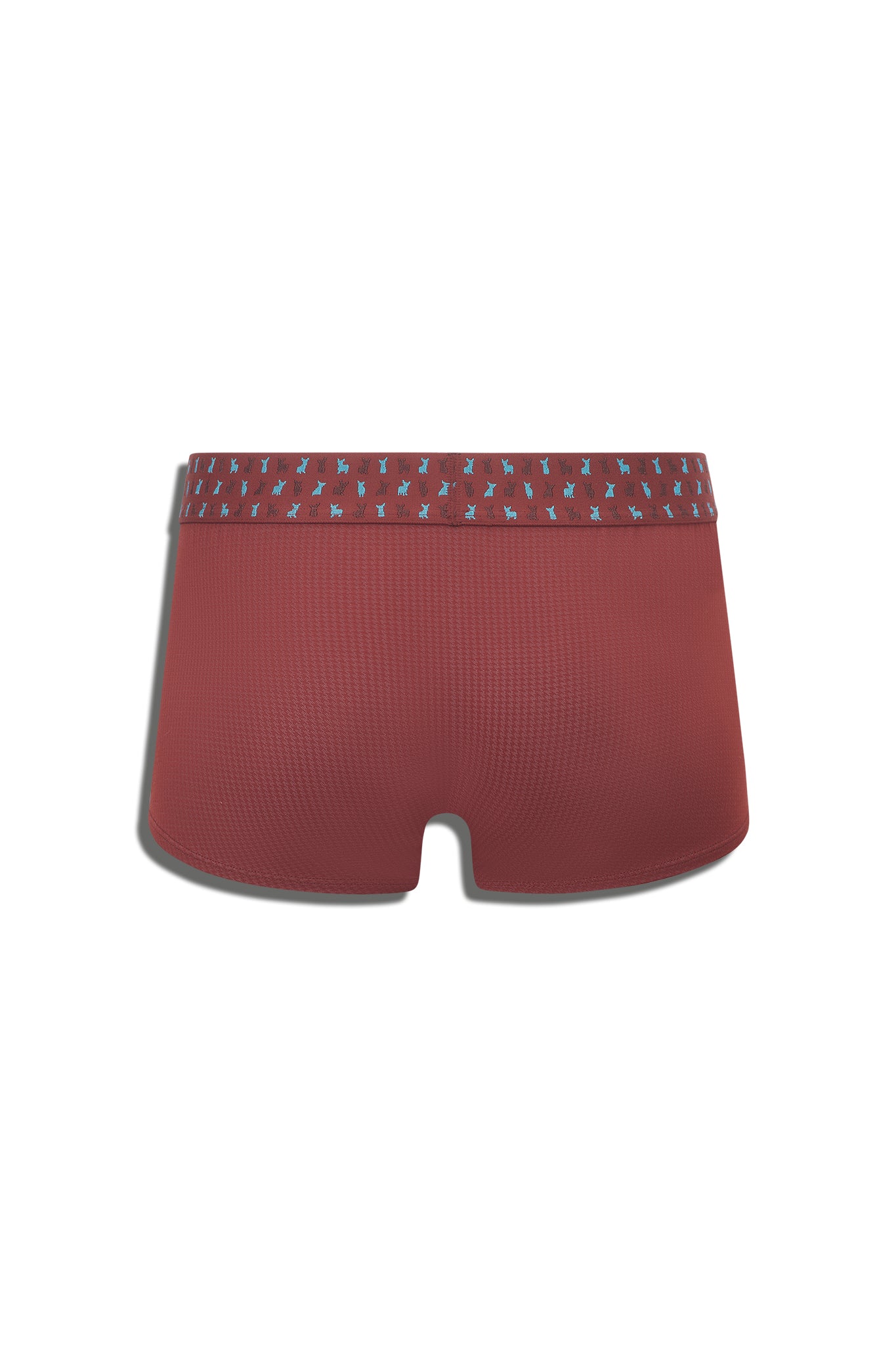 CRYPTIC ESQUIRE TRUNK - RED