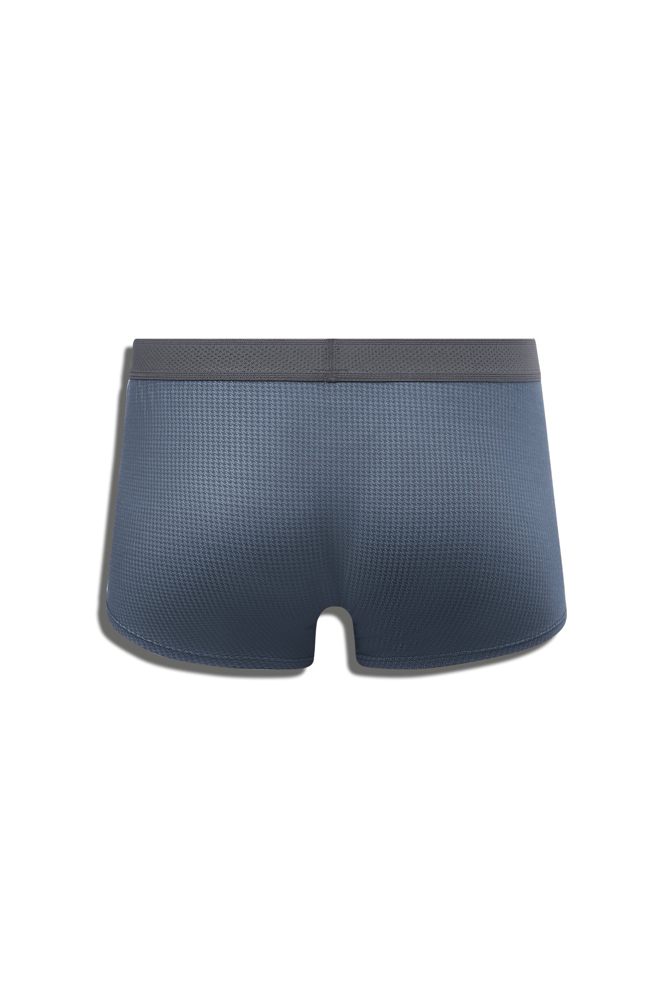 CONNOISSEUR TRUNK - BLUE