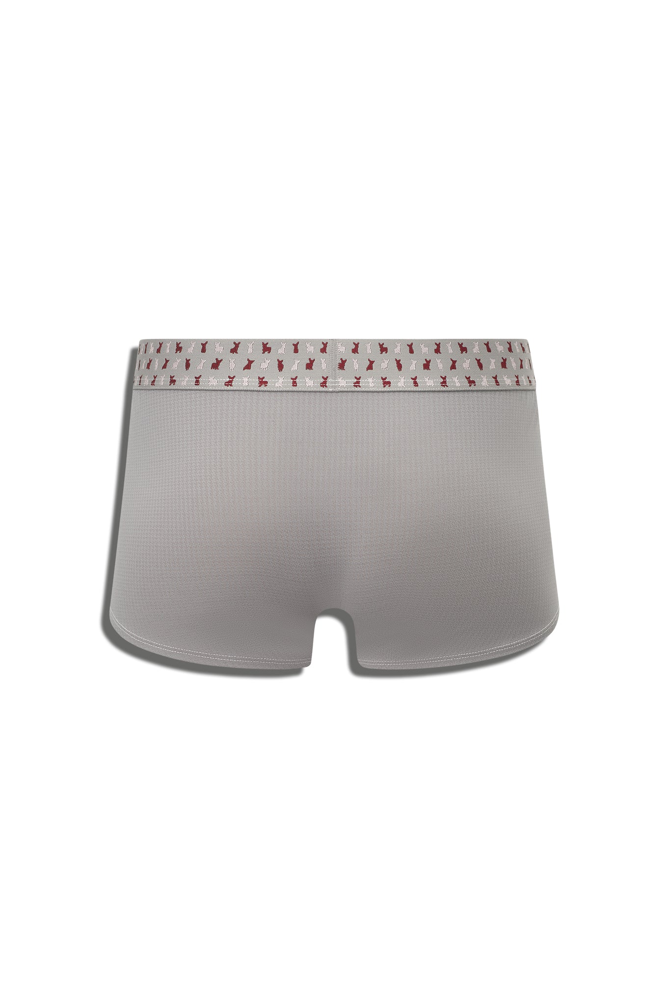 CRYPTIC ESQUIRE TRUNK - GREY