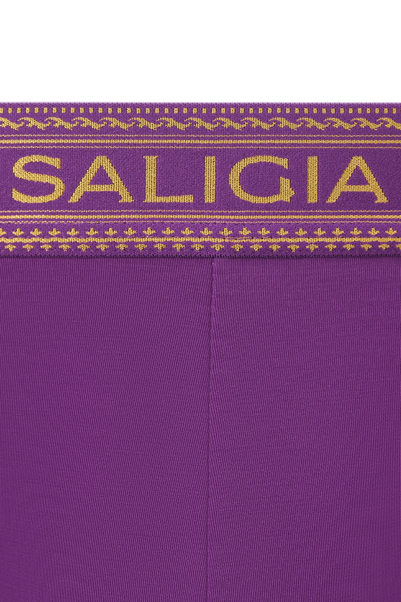 GREEK DIONYSIA BRIEF - PURPLE