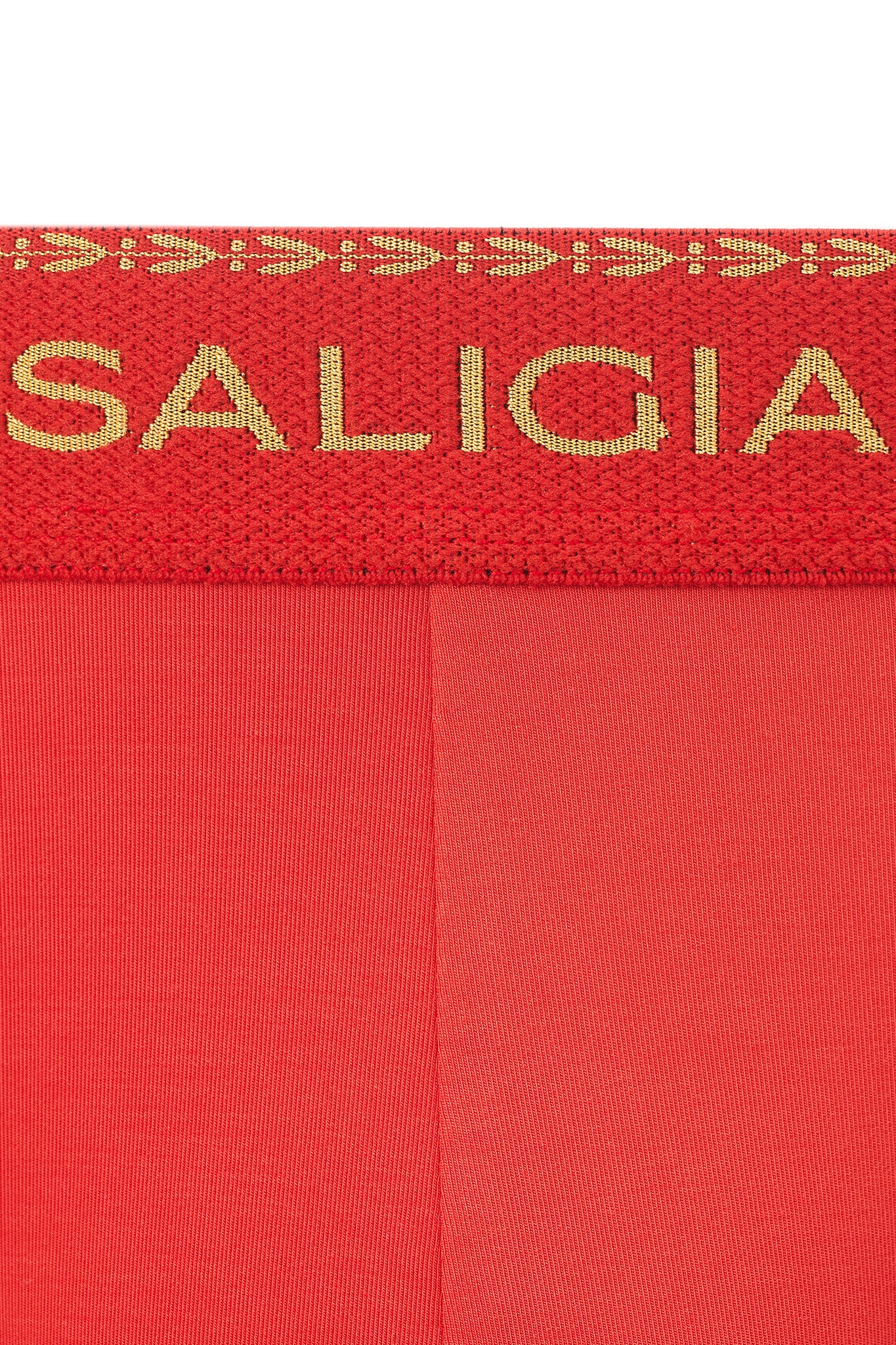 GREEK LAUREL BRIEF - RED
