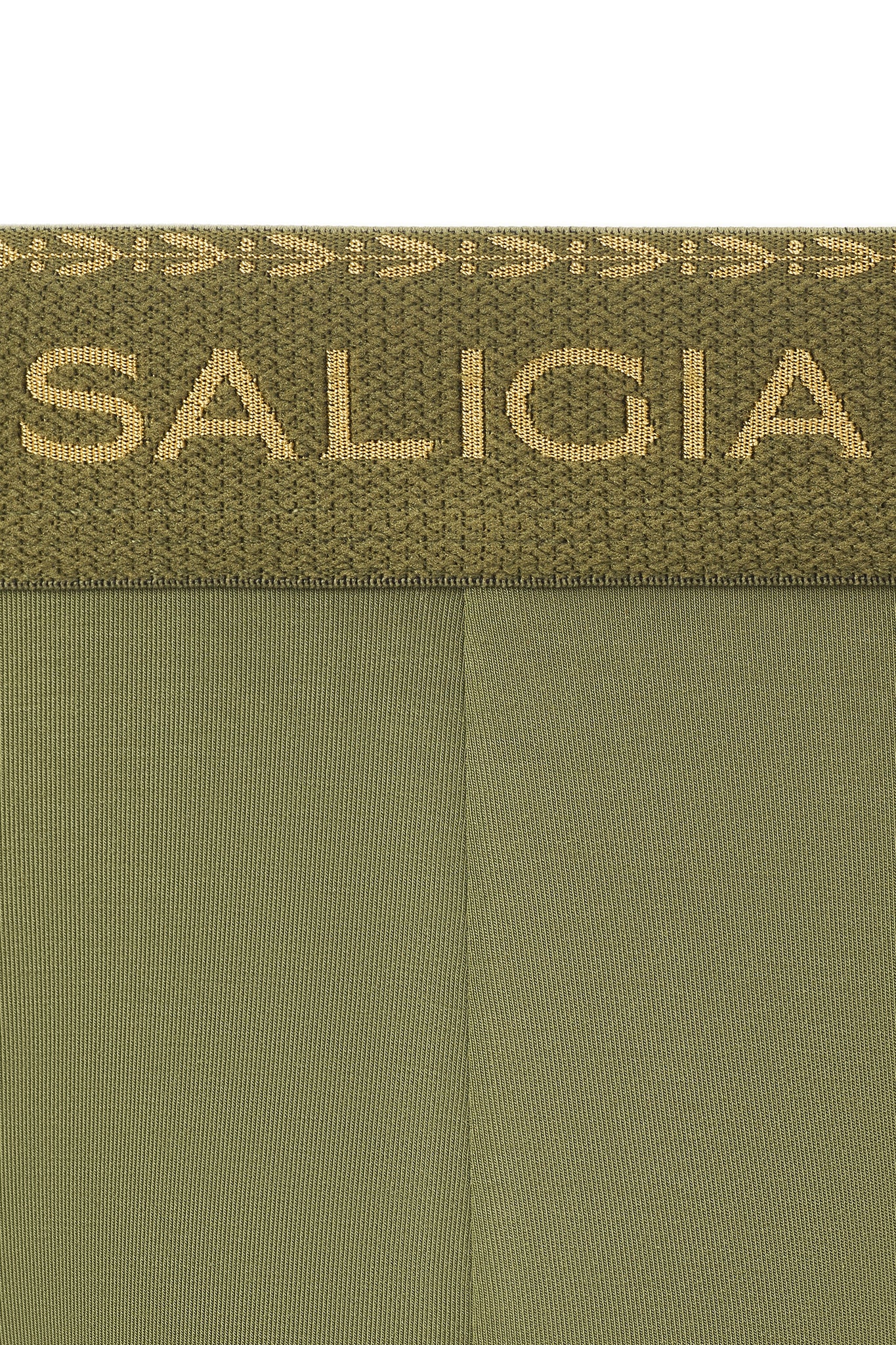GREEK LAUREL BRIEF - GREEN