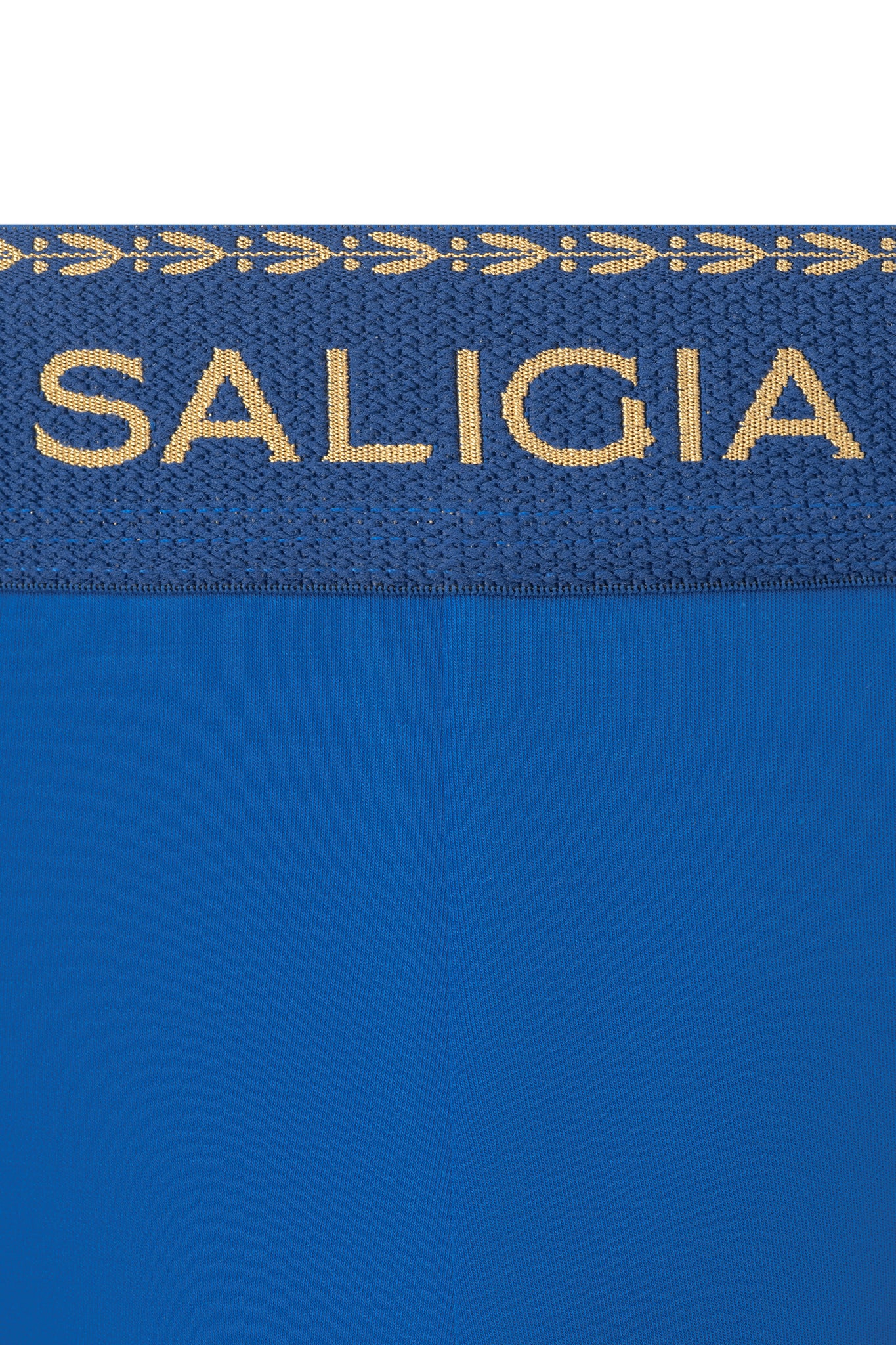GREEK LAUREL BRIEF - BLUE