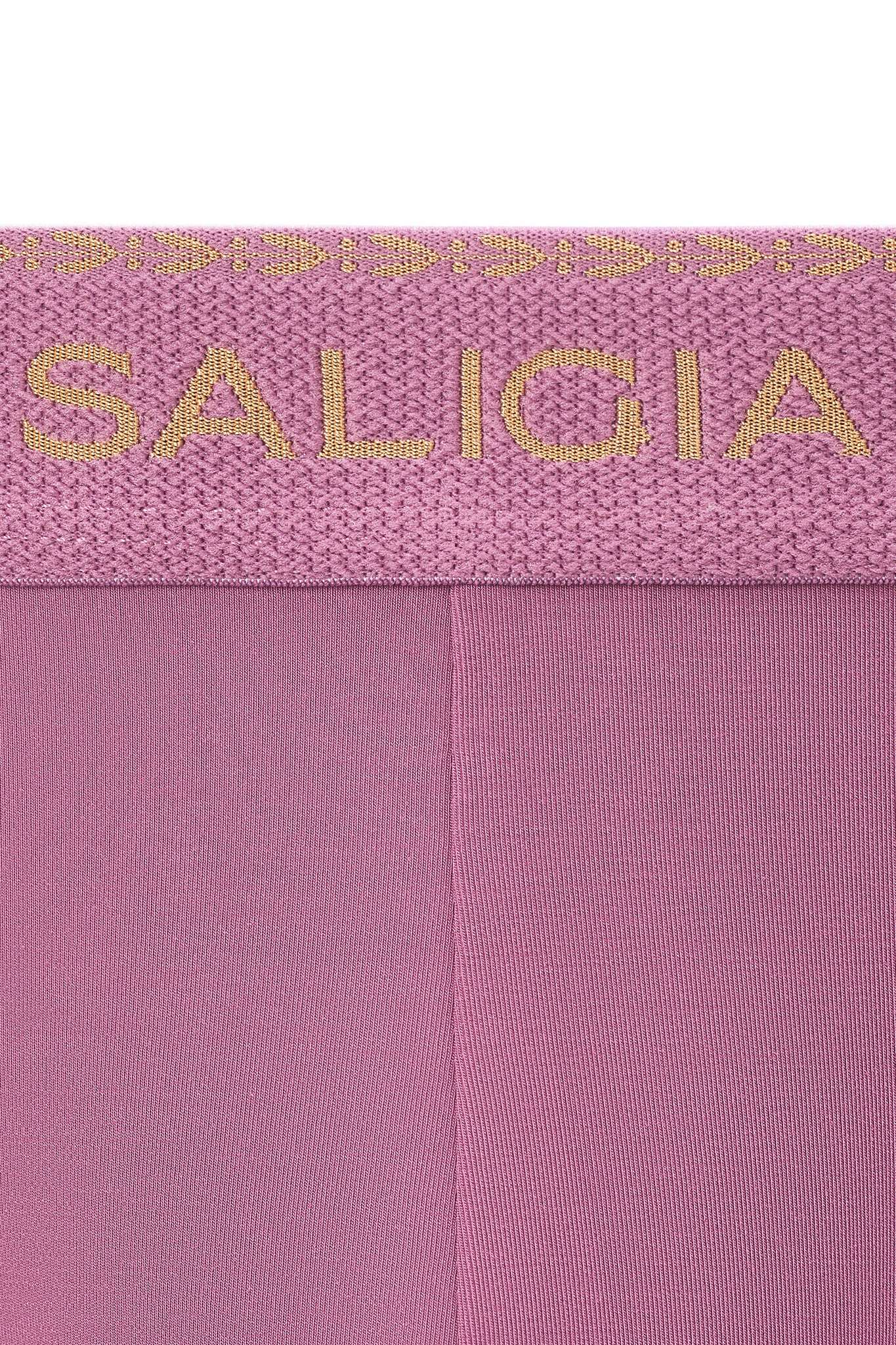 GREEK LAUREL BRIEF - PURPLE