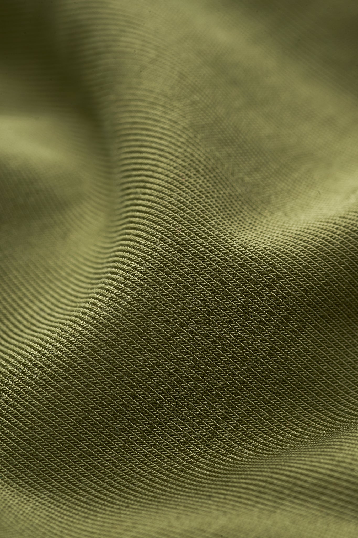 GREEK LAUREL BRIEF - GREEN