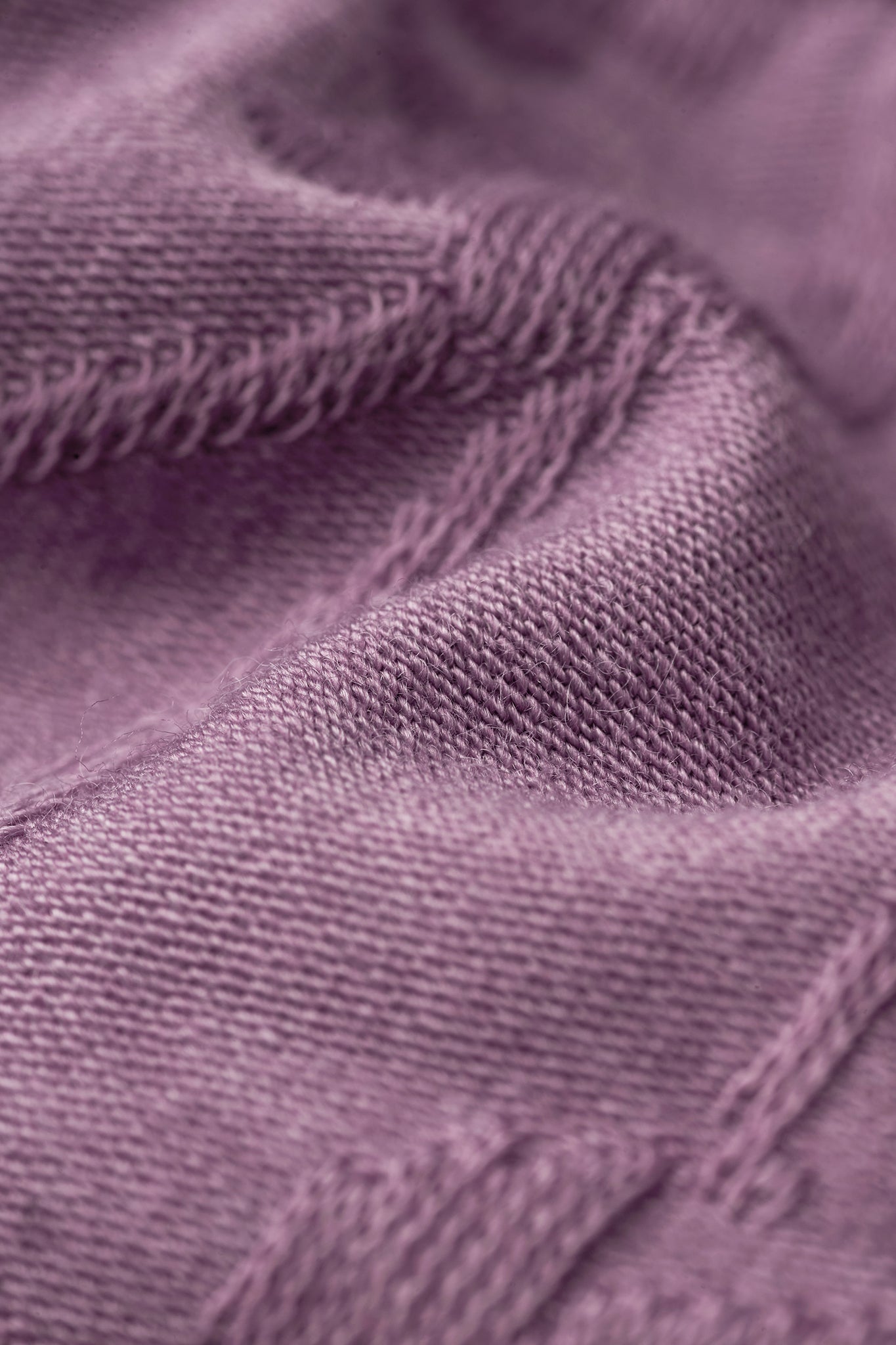 DIONYSUS BRIEF - PURPLE