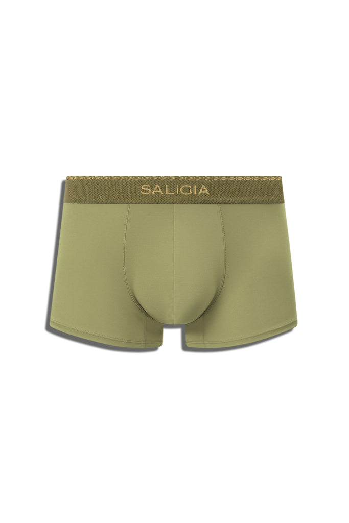GREEK LAUREL TRUNK - GREEN