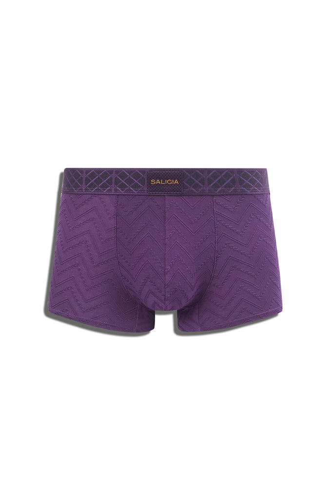 PRISM ECHO TRUNK - PURPLE