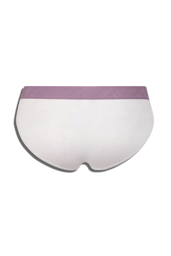 VEILED SERENITY BRIEF - GREY