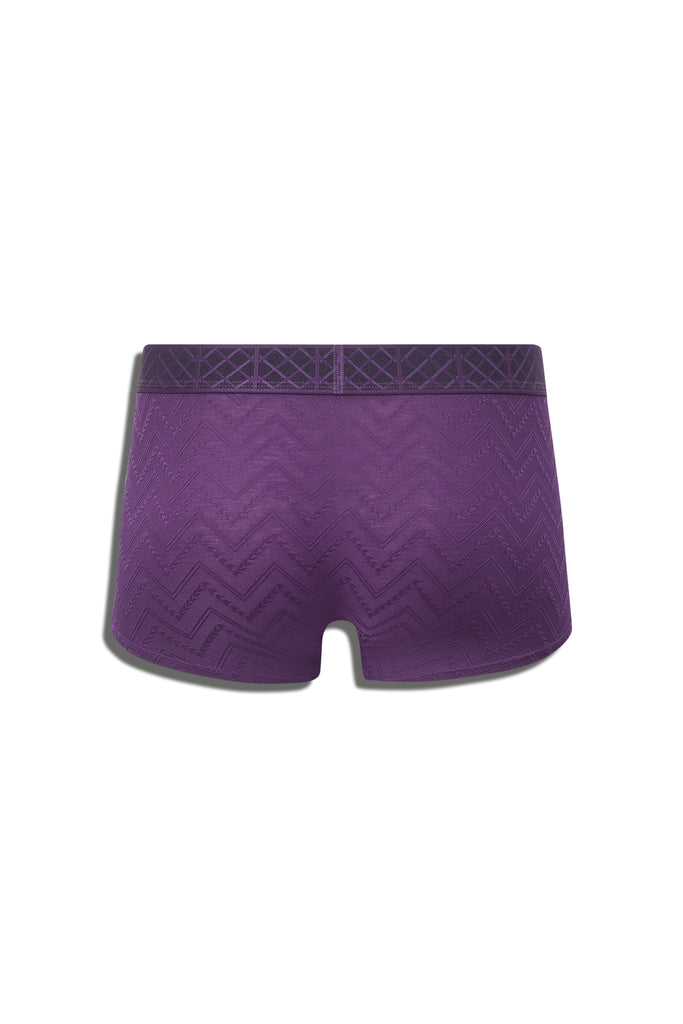 PRISM ECHO TRUNK - PURPLE