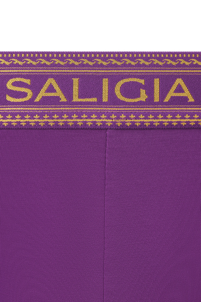 GREEK DIONYSIA BRIEF - PURPLE