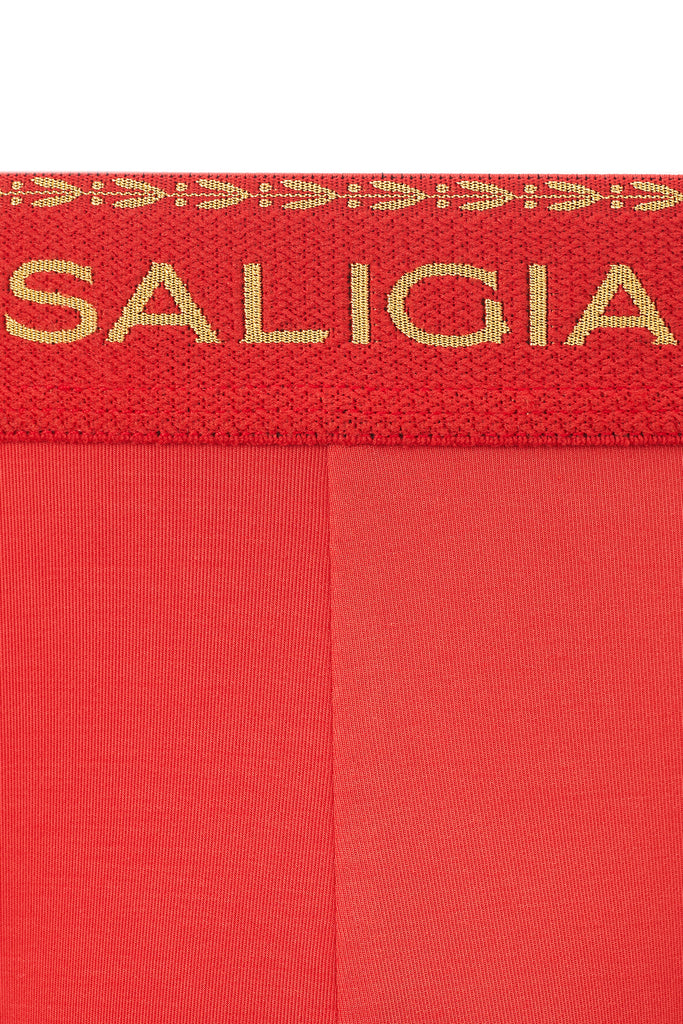 GREEK LAUREL SPORT BRIEF - RED
