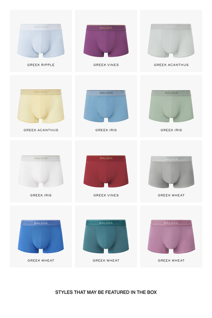 MYSTERY BOX - TRUNK*3 SPORT BRIEF*3 